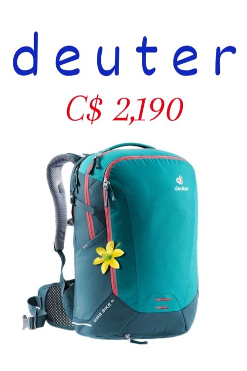 Deuter Giga – venta final no devolucion